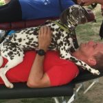 Atlanta Sports Chiropractors treating Fiesta 5k runner